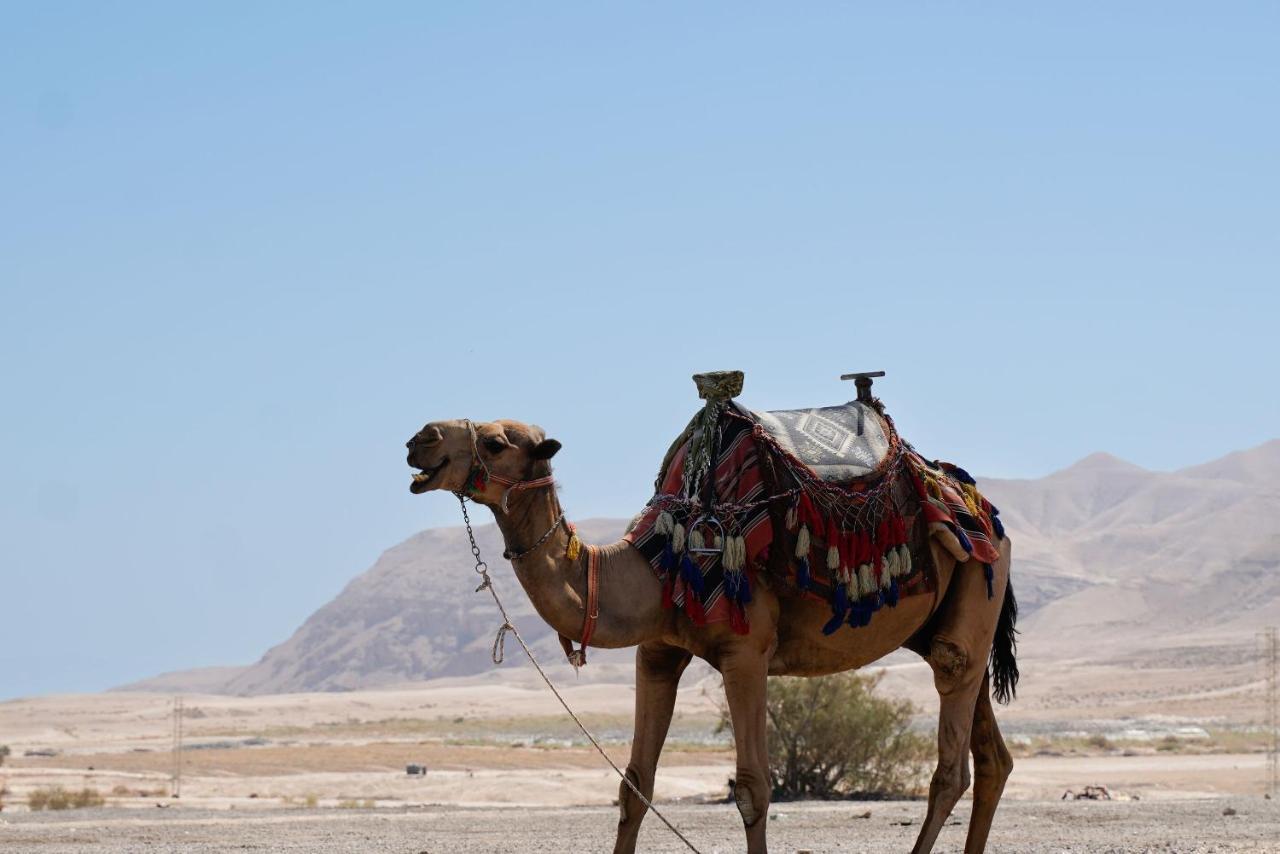 Hotel Selina Mantur Almog Dead Sea Exterior foto